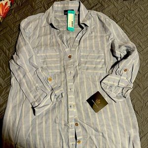 Blue stripe button up shirt with V neck